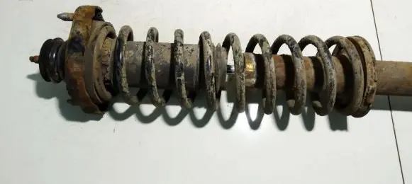 Rear coil spring