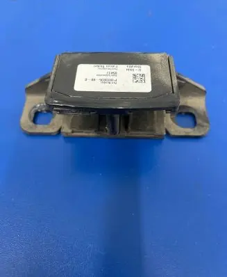 Tesla Model X Rear door lock loop/hook striker P103383600G 05417