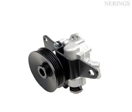 Nissan Micra Power steering pump 715520069