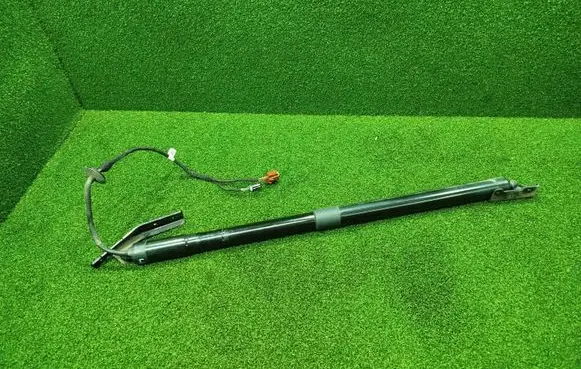 Tailgate/trunk strut/damper