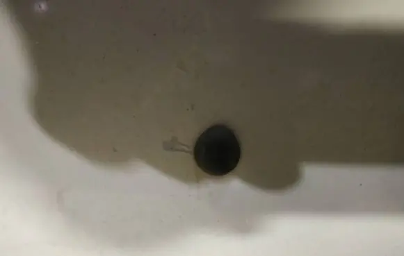 Renault Scenic I Windshield washer spray nozzle 