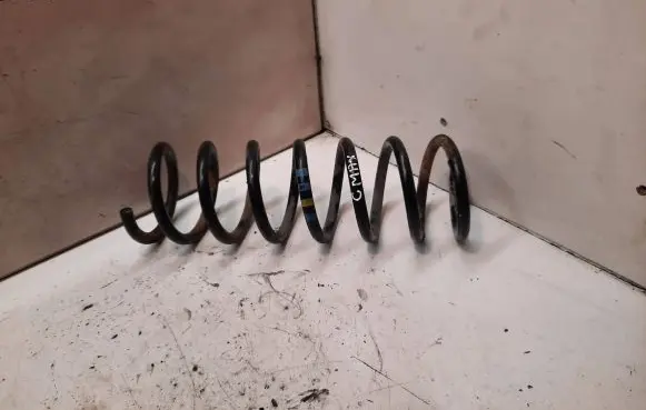 Ford Focus C-MAX Rear coil spring