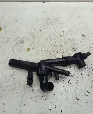Thermostat/thermostat housing