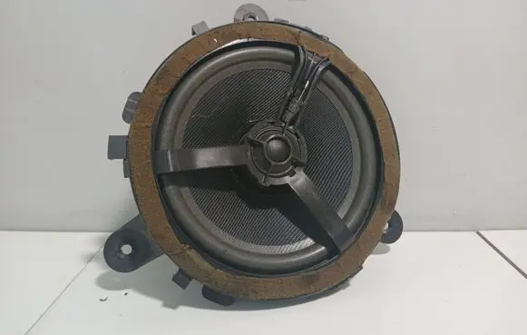 Rear door speaker