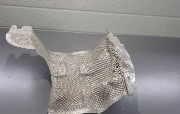 Dacia Sandero III Exhaust heat shield 360173949R