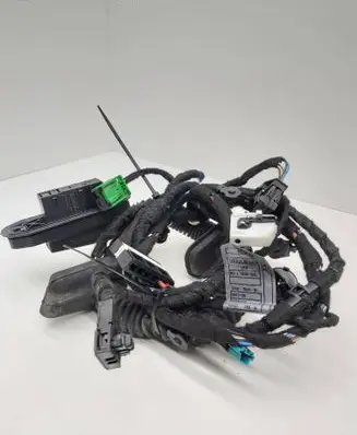 BMW 7 E65 E66 Front door wiring loom 6913130 B11D03505