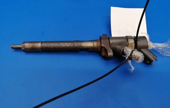 Citroen C5 Fuel injector 0445110188