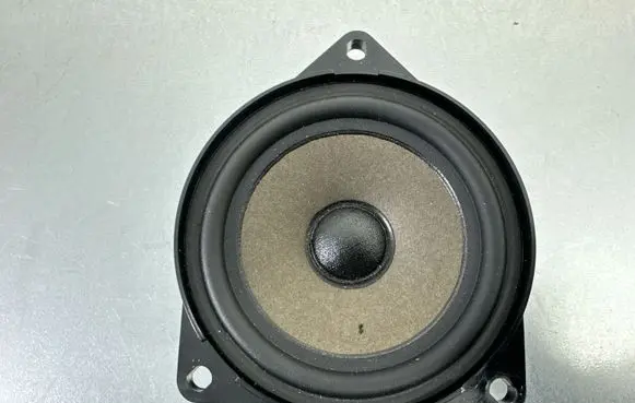 BMW X1 F48 F49 Subwoofer speaker 16014910