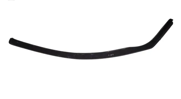 Volkswagen Tiguan Front door glass trim molding 