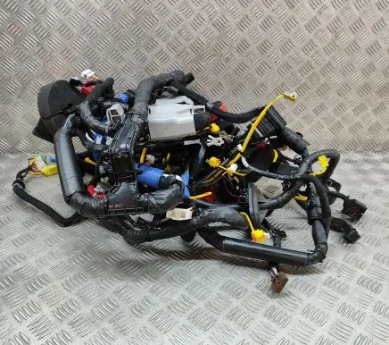 KIA EV6 Other wiring loom 91540CV460A