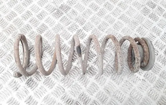 Peugeot Expert Rear coil spring