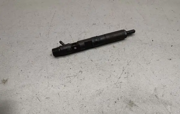 Renault Megane II Fuel injector H8200421897 EJBR03101D