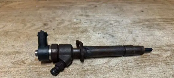 Volvo V70 Fuel injector 0445110251