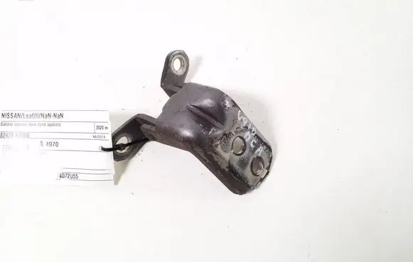 Nissan Leaf II (ZE1) Rear door lower hinge 82420AG000