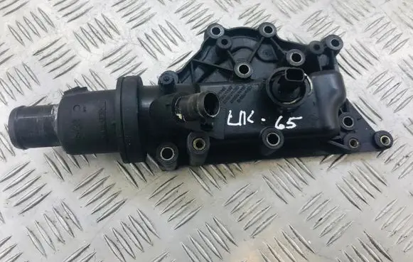 Thermostat/thermostat housing
