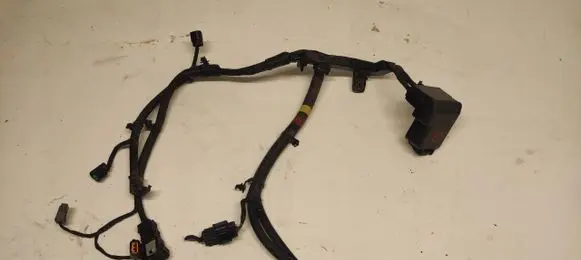 KIA Rio Positive cable (battery)