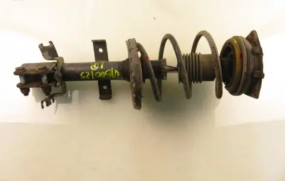 Renault Clio III Front shock absorber with coil spring 
