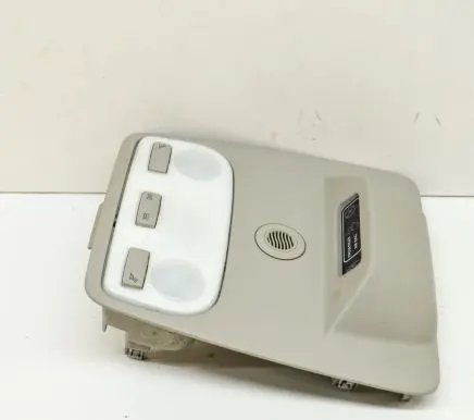 Renault Zoe Front seat light