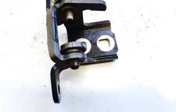 Rear door lower hinge
