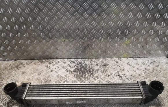 Mercedes-Benz B W245 Intercooler radiator 1695000000 A1695000000