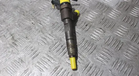 Renault Megane II Fuel injector 