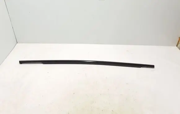 Ford Mach-E I Rear door trim (molding) LJ8BR25605AC