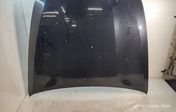 Engine bonnet/hood