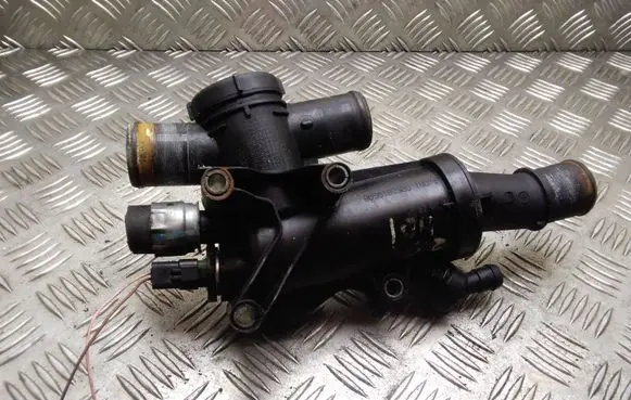 Thermostat/thermostat housing