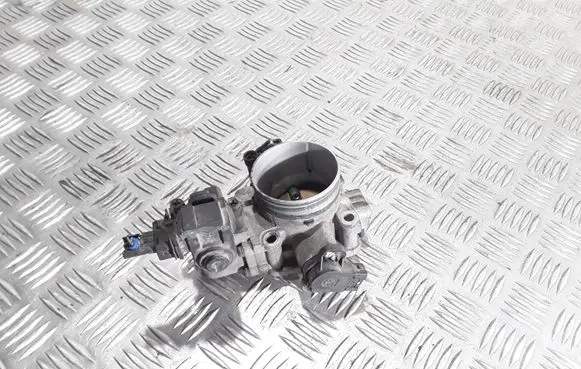 Hyundai Santa Fe Throttle valve 20123L270499