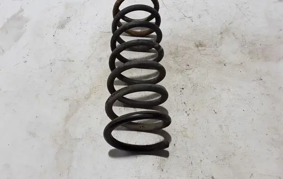 Rear coil spring