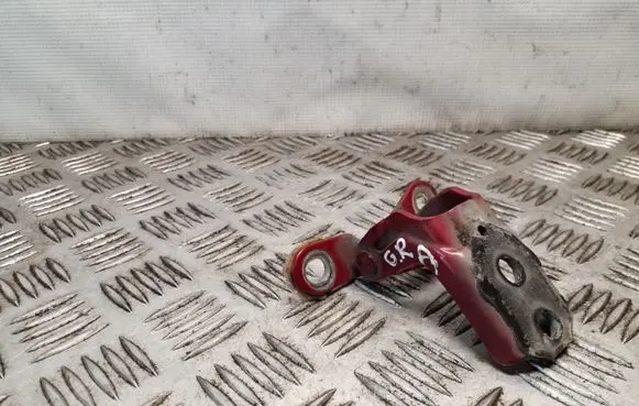 Nissan Juke I F15 Rear door lower hinge