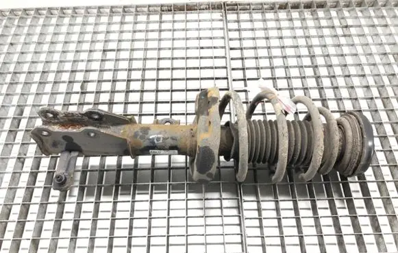 Opel Insignia A Front shock absorber/damper 22830748