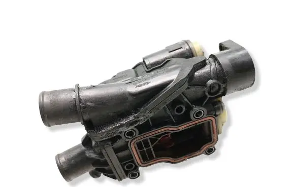 Thermostat/thermostat housing