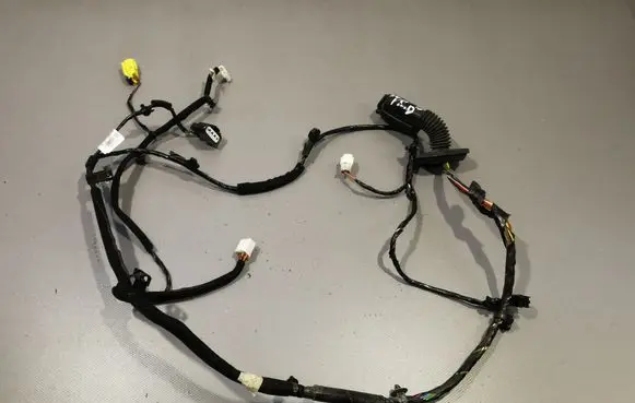Hyundai i20 (GB IB) Front door wiring loom 91640C8700