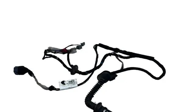 Rear door wiring loom
