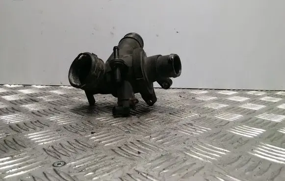 Thermostat/thermostat housing