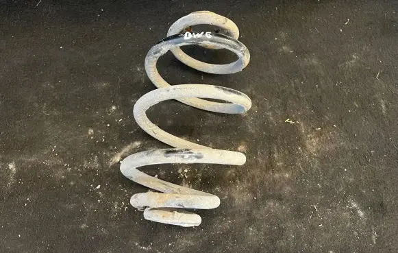 Volkswagen PASSAT B5.5 Rear coil spring