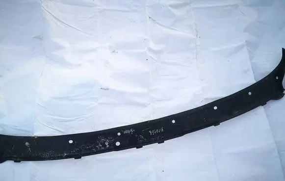 BMW X6 E71 Wiper trim 15671610