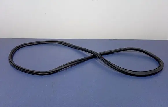 BMW X6 M Front door rubber seal 7437788