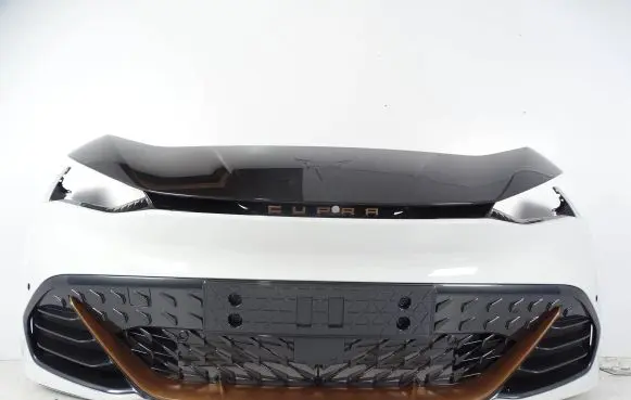 Cupra Born Front bumper 10E807217J