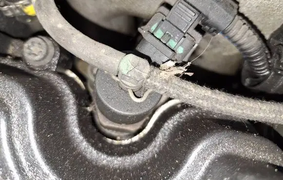 Fiat Punto (188) Fuel injector 0445110019