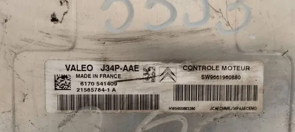 Peugeot 206 Engine control unit/module 215857841A S9661960880 6170541409