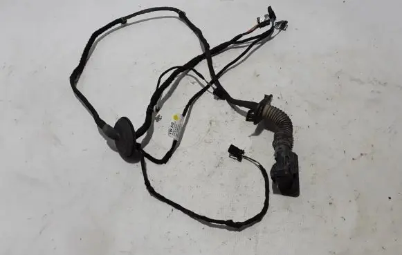 Other wiring loom