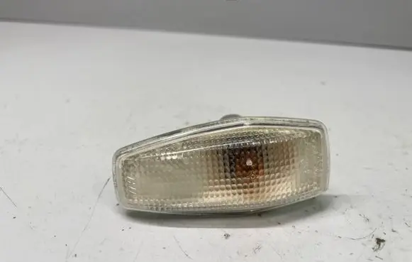 Front fender indicator light