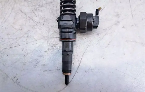 Volkswagen Bora Fuel injector 038130073P