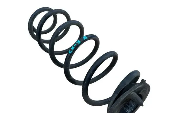 Rear coil spring