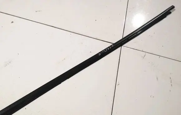 Rear door glass trim molding