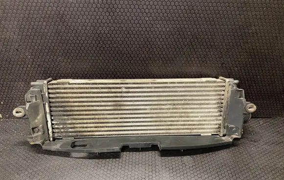 Opel Vivaro Intercooler radiator 93854398 8200414159