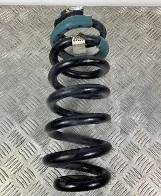 Rear coil spring
