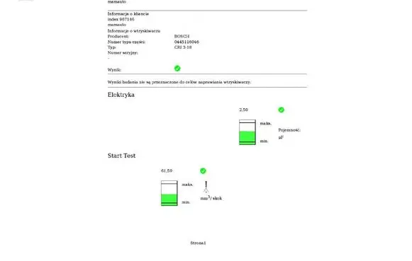 Volvo V40 Fuel injector 31303238